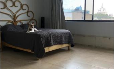 EN VENTA  DEPARTAMENTO EN DEL VALLE NORTE, BENITO JUAREZ