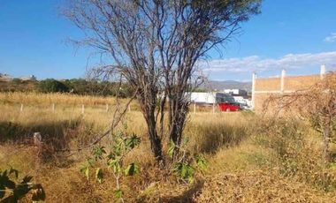 Terreno en venta en Centro, Calvillo