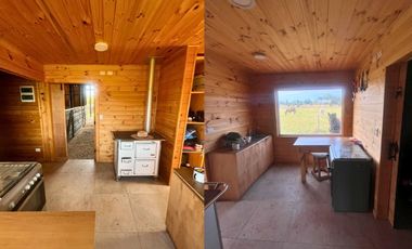 Pecebreras en Loncotoro Llanquihue