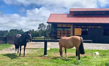 Pecebreras en Loncotoro Llanquihue