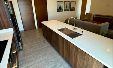 SE RENTA Departamento AMUEBLADO en Parkview piso 9