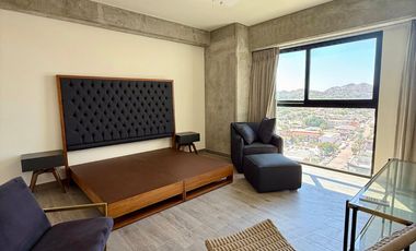 SE RENTA Departamento AMUEBLADO en Parkview piso 9
