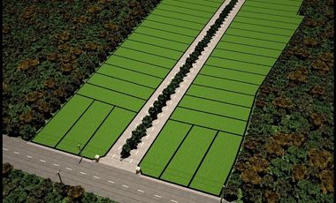 Terrenos en venta en Xamantú Ixil, Yucatán