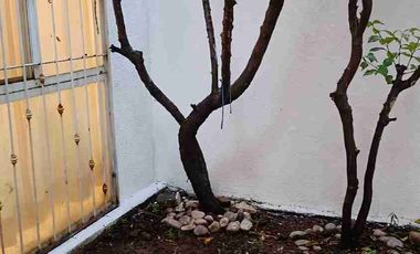 Venta de bonita casa en fraccionamiento la Hacienda, Morelia Mich