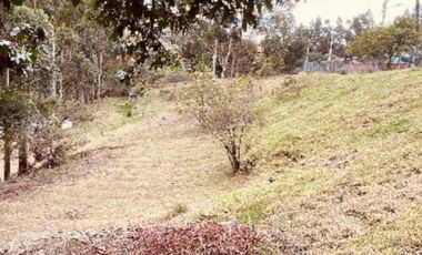 Venta Urgente hermoso terreno casi una hectárea para Quinta cerca de las aguas termales.  La  Merced