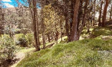 Venta Urgente hermoso terreno casi una hectárea para Quinta cerca de las aguas termales.  La  Merced
