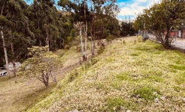 Venta Urgente hermoso terreno casi una hectárea para Quinta cerca de las aguas termales.  La  Merced