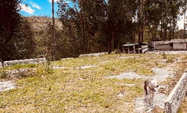 Venta Urgente hermoso terreno casi una hectárea para Quinta cerca de las aguas termales.  La  Merced