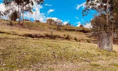 Venta Urgente hermoso terreno casi una hectárea para Quinta cerca de las aguas termales.  La  Merced