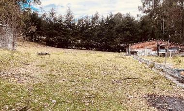 Venta Urgente hermoso terreno casi una hectárea para Quinta cerca de las aguas termales.  La  Merced