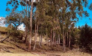 Venta Urgente hermoso terreno casi una hectárea para Quinta cerca de las aguas termales.  La  Merced
