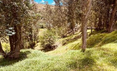 Venta Urgente hermoso terreno casi una hectárea para Quinta cerca de las aguas termales.  La  Merced