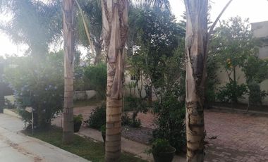 CASA EN VENTA EN CALVILLITO AGUASCALIENTES