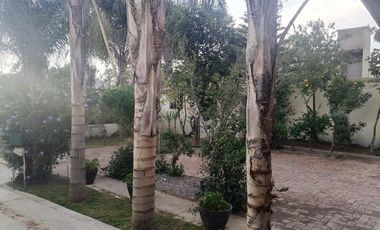 CASA EN VENTA EN CALVILLITO AGUASCALIENTES