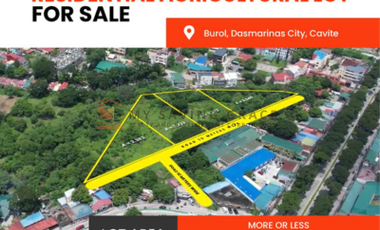 Lot for sale in Burol, Burol, Dasmariñas, Cavite
