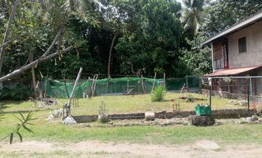 LOT WITH TWO HOUSES FOR SALE IN VALENCIA ID 14992