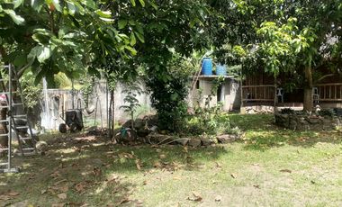 LOT WITH TWO HOUSES FOR SALE IN VALENCIA ID 14992