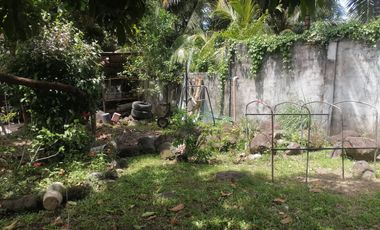 LOT WITH TWO HOUSES FOR SALE IN VALENCIA ID 14992