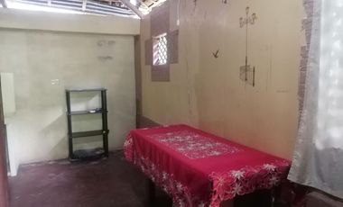 LOT WITH TWO HOUSES FOR SALE IN VALENCIA ID 14992