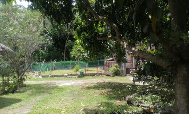 LOT WITH TWO HOUSES FOR SALE IN VALENCIA ID 14992