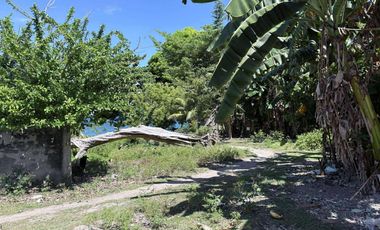 HOUSE AND LOT FOR SALE NEAR THE BEACH ID 15034