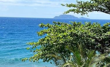 BEACHFRONT HOUSE AND LOT WITH POOL FOR SALE ID 14873