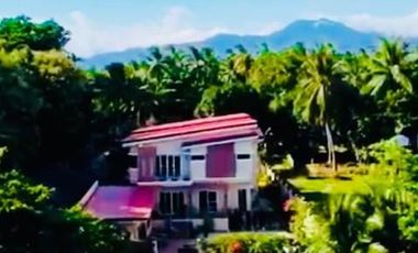 BEACHFRONT HOUSE AND LOT WITH POOL FOR SALE ID 14873