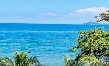 BEACHFRONT HOUSE AND LOT WITH POOL FOR SALE ID 14873