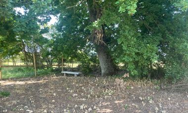 Venta hermosa parcela 2,6 hectáreas de cultivo árboles frutales - Malloa, Chillán