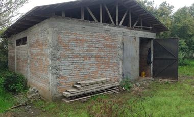 Venta hermosa parcela 2,6 hectáreas de cultivo árboles frutales - Malloa, Chillán