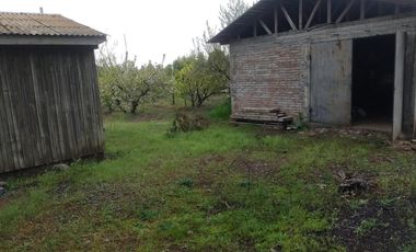 Venta hermosa parcela 2,6 hectáreas de cultivo árboles frutales - Malloa, Chillán