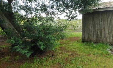 Venta hermosa parcela 2,6 hectáreas de cultivo árboles frutales - Malloa, Chillán