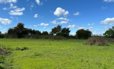 Venta 5 lindas parcelas de 5.000 mts2 c/u con acceso a río - Camino a Cato Km 14, Chillán