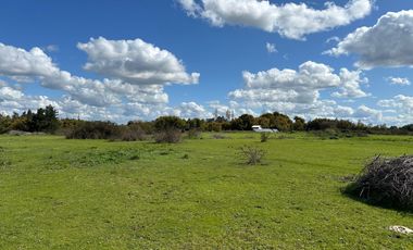 Venta 5 lindas parcelas de 5.000 mts2 c/u con acceso a río - Camino a Cato Km 14, Chillán
