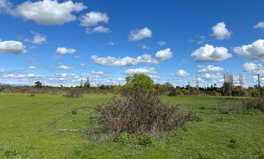 Venta 5 lindas parcelas de 5.000 mts2 c/u con acceso a río - Camino a Cato Km 14, Chillán