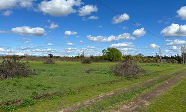 Venta 5 lindas parcelas de 5.000 mts2 c/u con acceso a río - Camino a Cato Km 14, Chillán