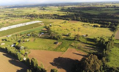 Venta 5 lindas parcelas de 5.000 mts2 c/u con acceso a río - Camino a Cato Km 14, Chillán