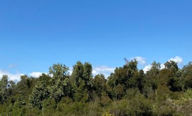 Venta parcela + cabaña con acceso a Río Chillán - Camino Las Mariposas Km 17,5