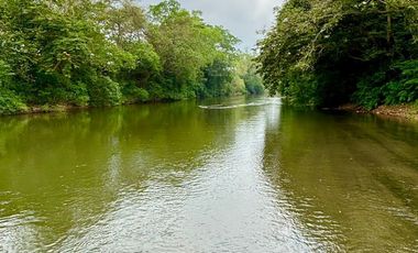 Venta de Finca en El Mangal, Medellín de Bravo, Veracruz