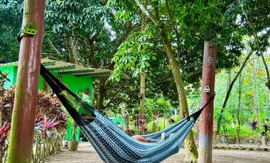 Venta de Finca en El Mangal, Medellín de Bravo, Veracruz