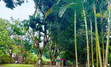 Venta de Finca en El Mangal, Medellín de Bravo, Veracruz