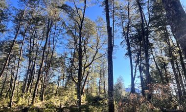 Parcelas Con Vista Al Volcán A 20 Min De Lican Ray
