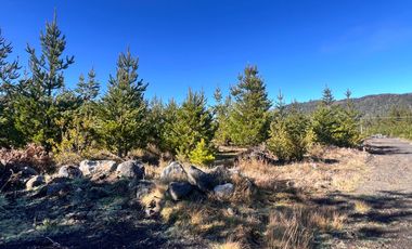 Parcelas Con Vista Al Volcán A 20 Min De Lican Ray