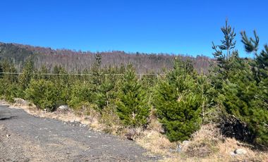 Parcelas Con Vista Al Volcán A 20 Min De Lican Ray