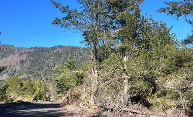 Parcelas Con Vista Al Volcán A 20 Min De Lican Ray