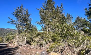 Parcelas Con Vista Al Volcán A 20 Min De Lican Ray