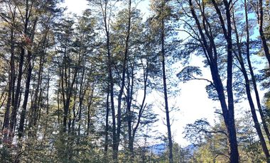 Parcelas Con Vista Al Volcán A 20 Min De Lican Ray