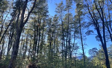 Parcelas Con Vista Al Volcán A 20 Min De Lican Ray