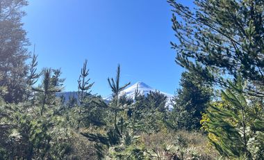 Parcelas Con Vista Al Volcán A 20 Min De Lican Ray
