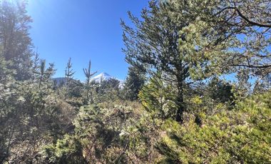 Parcelas Con Vista Al Volcán A 20 Min De Lican Ray